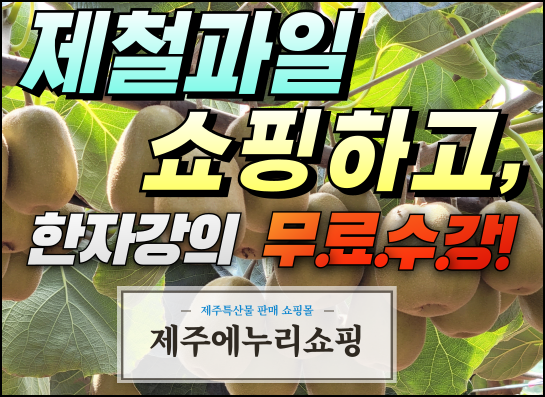 에누리쇼핑_한자강의_무료수강#1.png